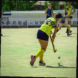 金色印章式圆形徽标，象征网站声明与法律效力